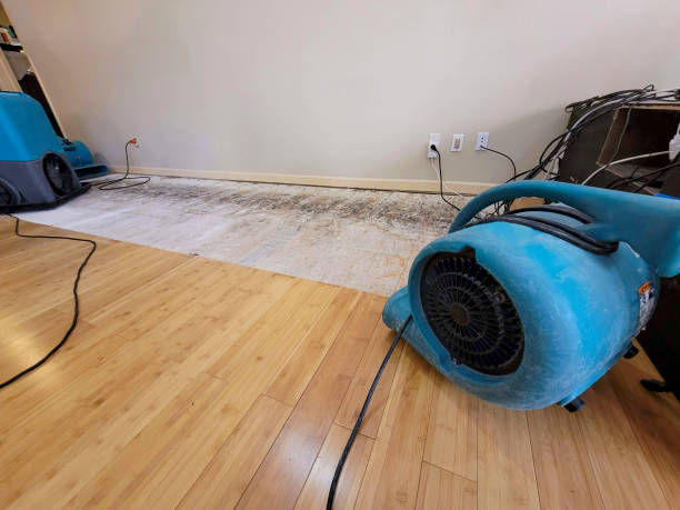 Professional Structural Drying technician working in Spring Glen, PA